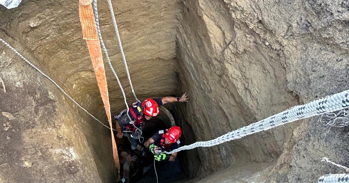 Mély kútból húzták fel a lovat Csíkkozmáson